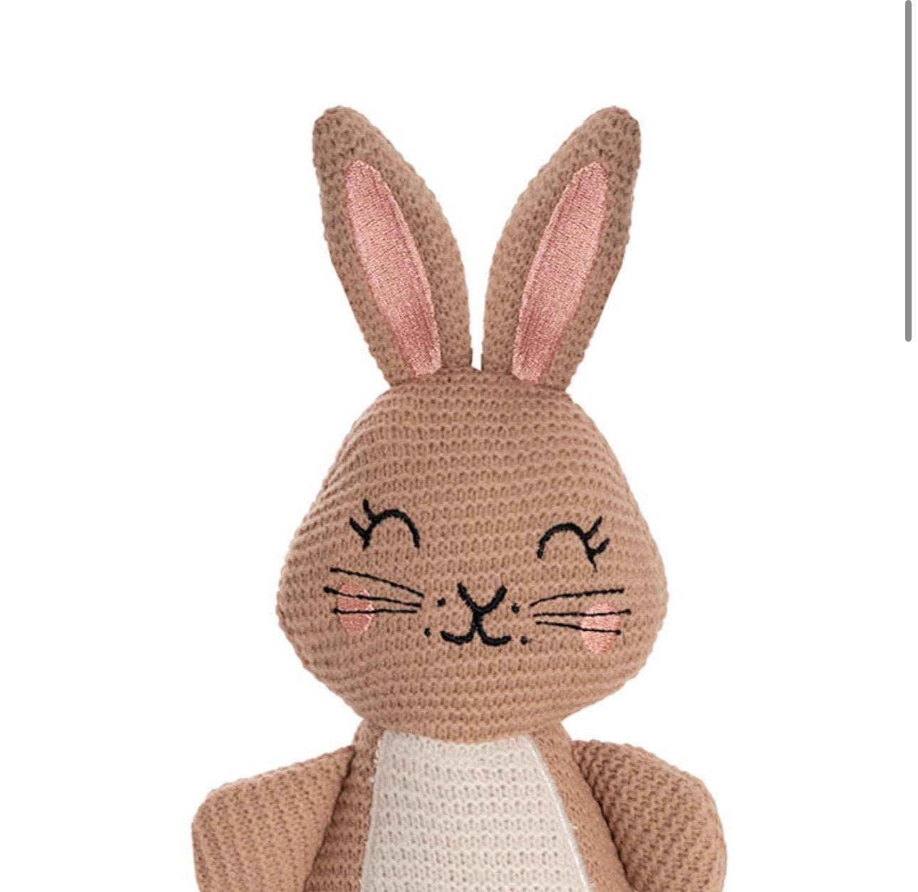 Brown Plush Bunny