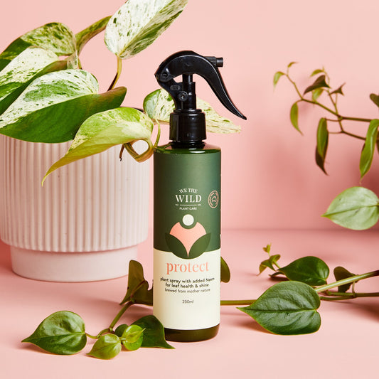 We the wild ‘Protect with neem oil spray’
